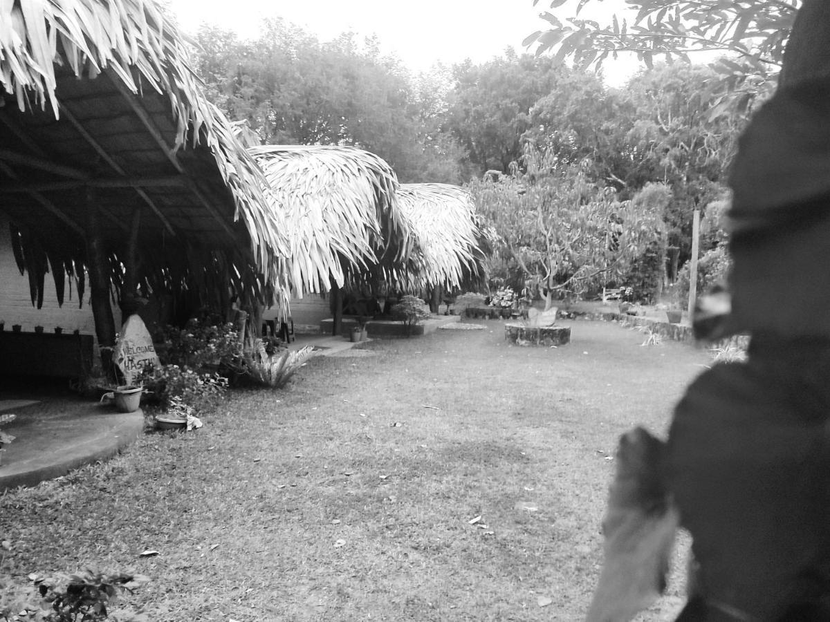 אודוואלאווה Hasthi Safari Cottage מראה חיצוני תמונה