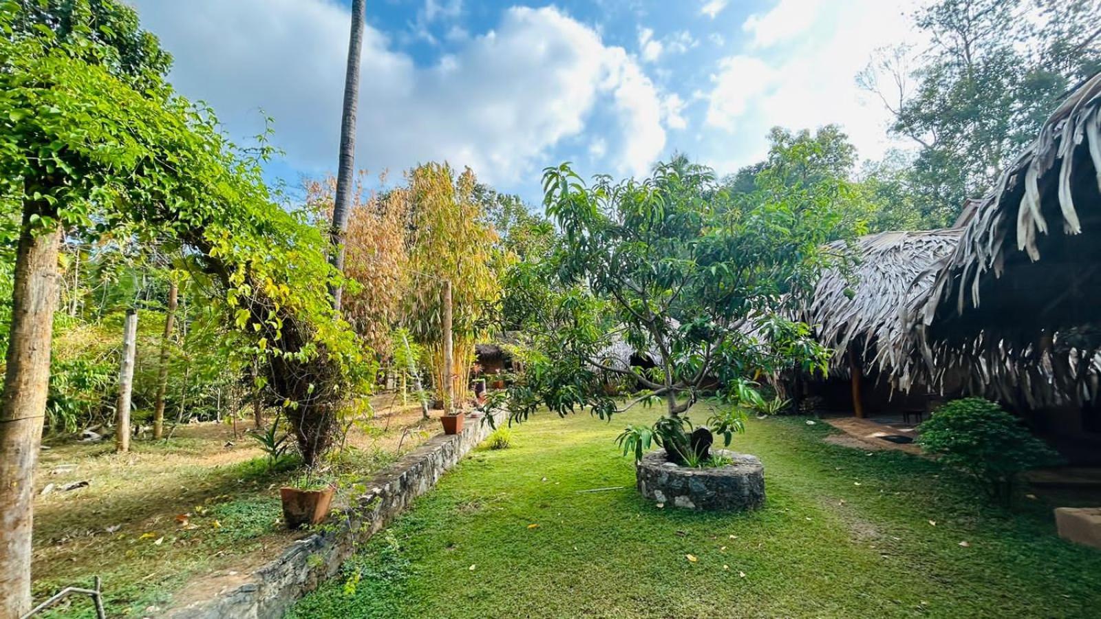 אודוואלאווה Hasthi Safari Cottage מראה חיצוני תמונה