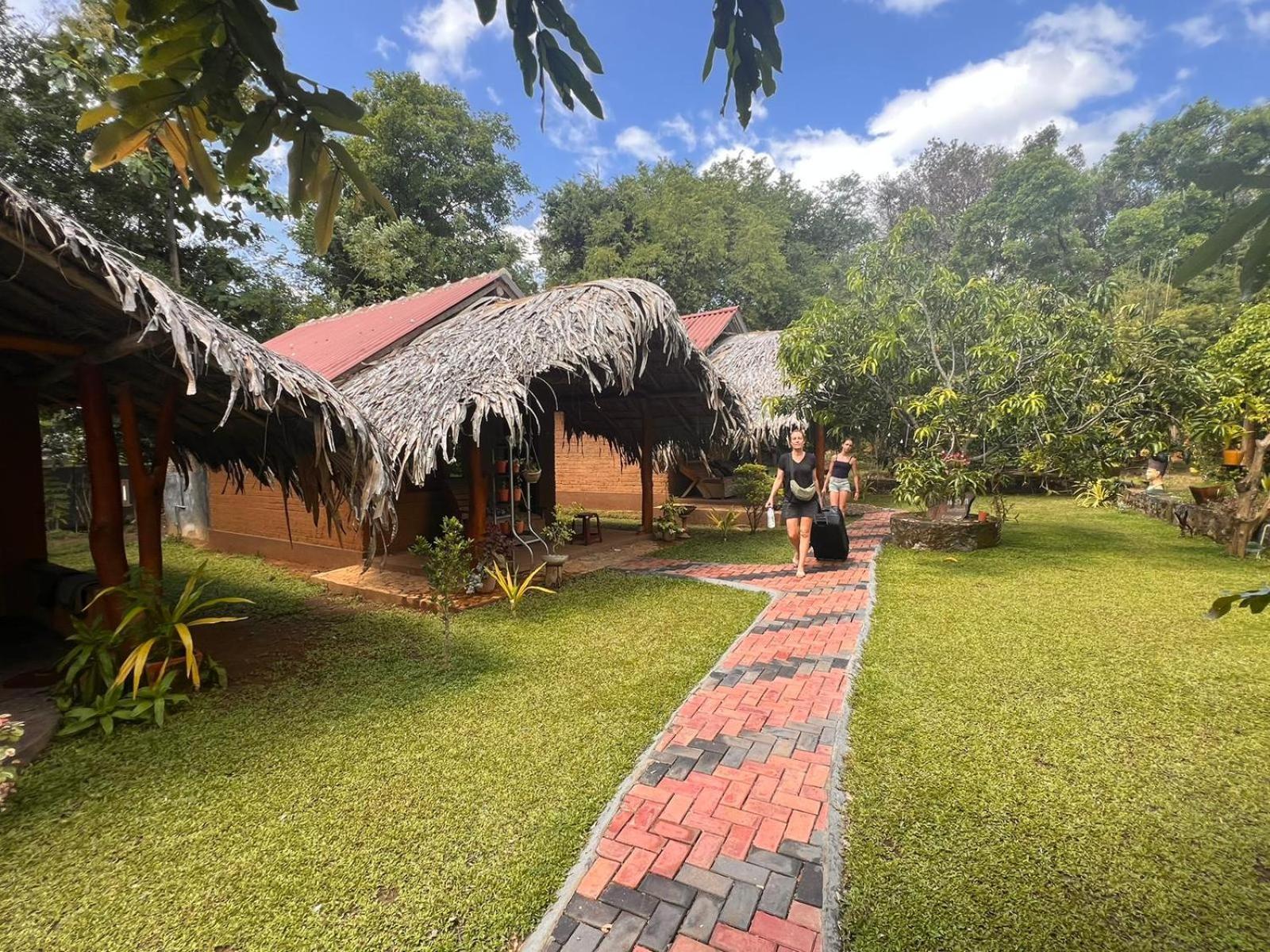 אודוואלאווה Hasthi Safari Cottage מראה חיצוני תמונה