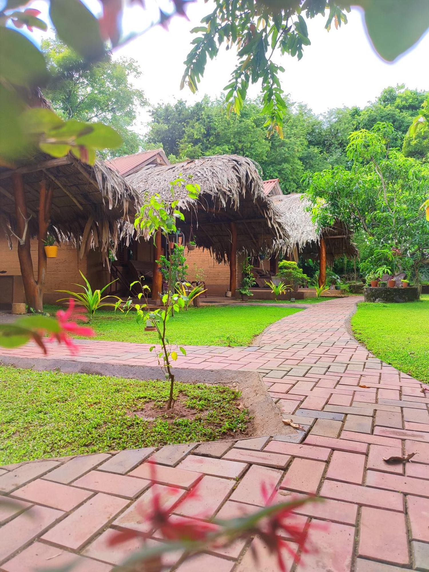 אודוואלאווה Hasthi Safari Cottage מראה חיצוני תמונה