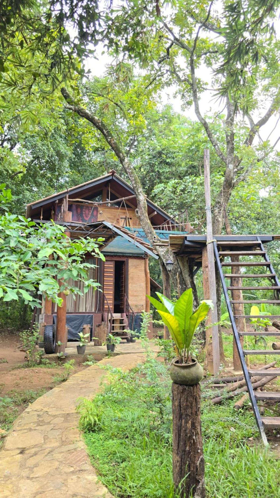 אודוואלאווה Hasthi Safari Cottage מראה חיצוני תמונה